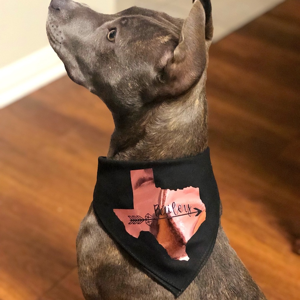 Dog Bandana